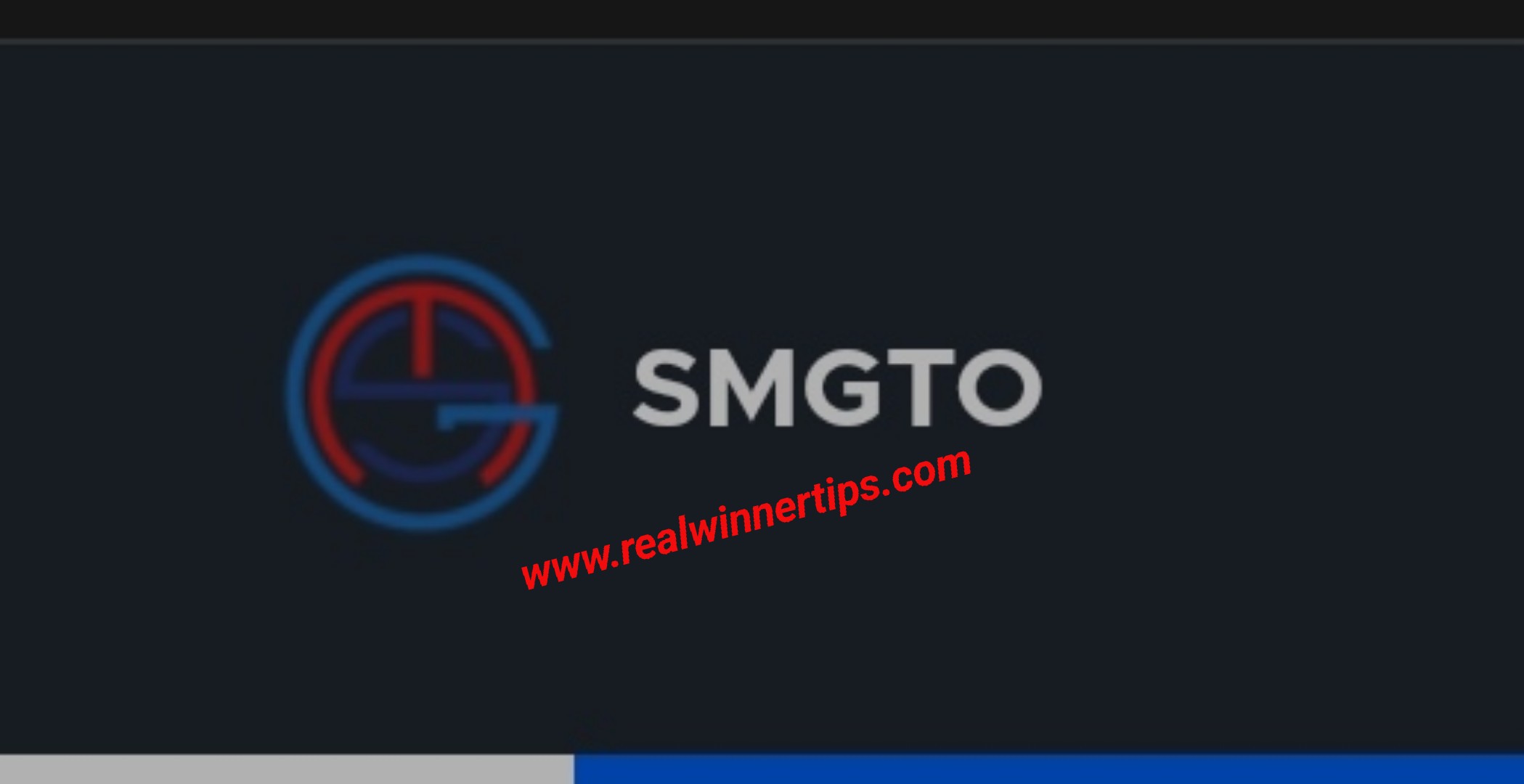 What is SMG token Full Explanation