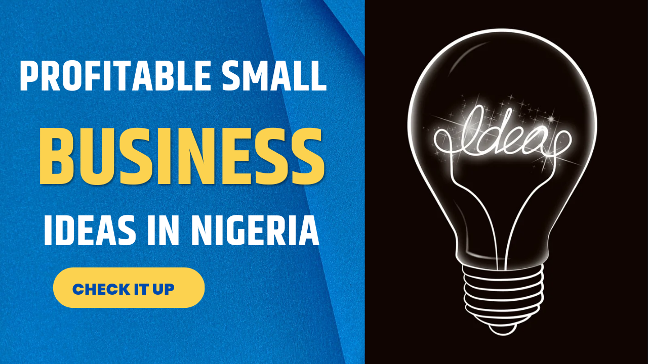 Image for the top 13 profitable small business ideas in Nigeria
