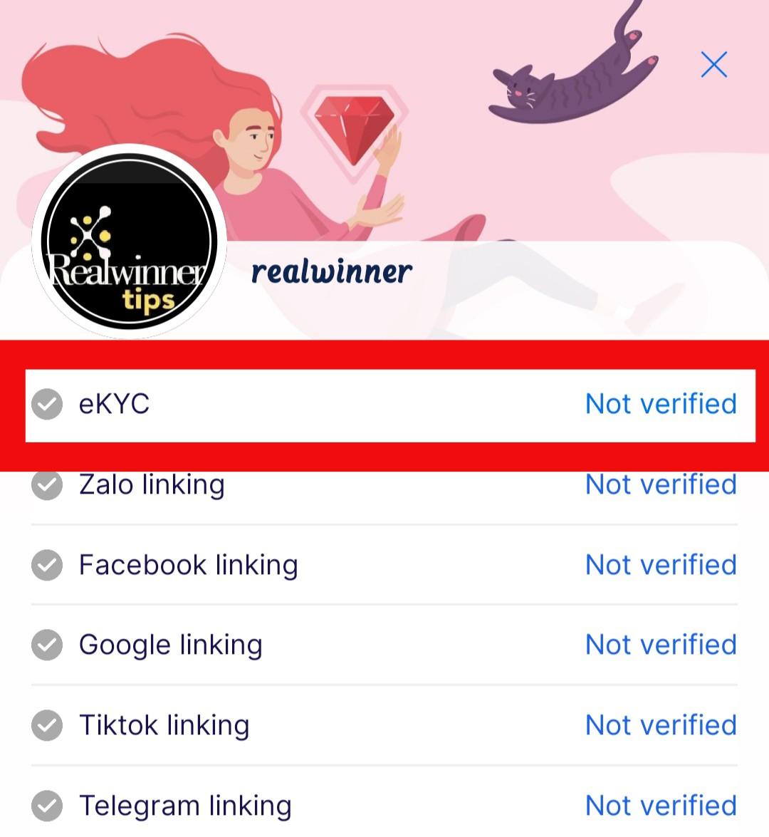 Screenshot photo on Rubi Kyc verification procedure 